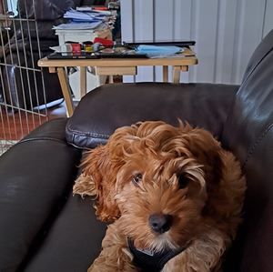 Meet your Posher, Kathy